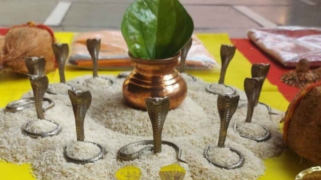 Kaal Sarpa Dosha Puja